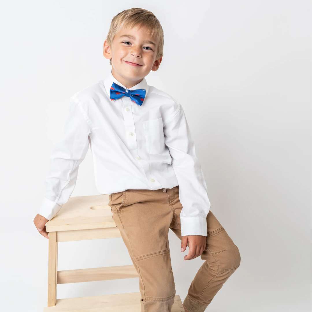 Buffalo Tie Red And Blue