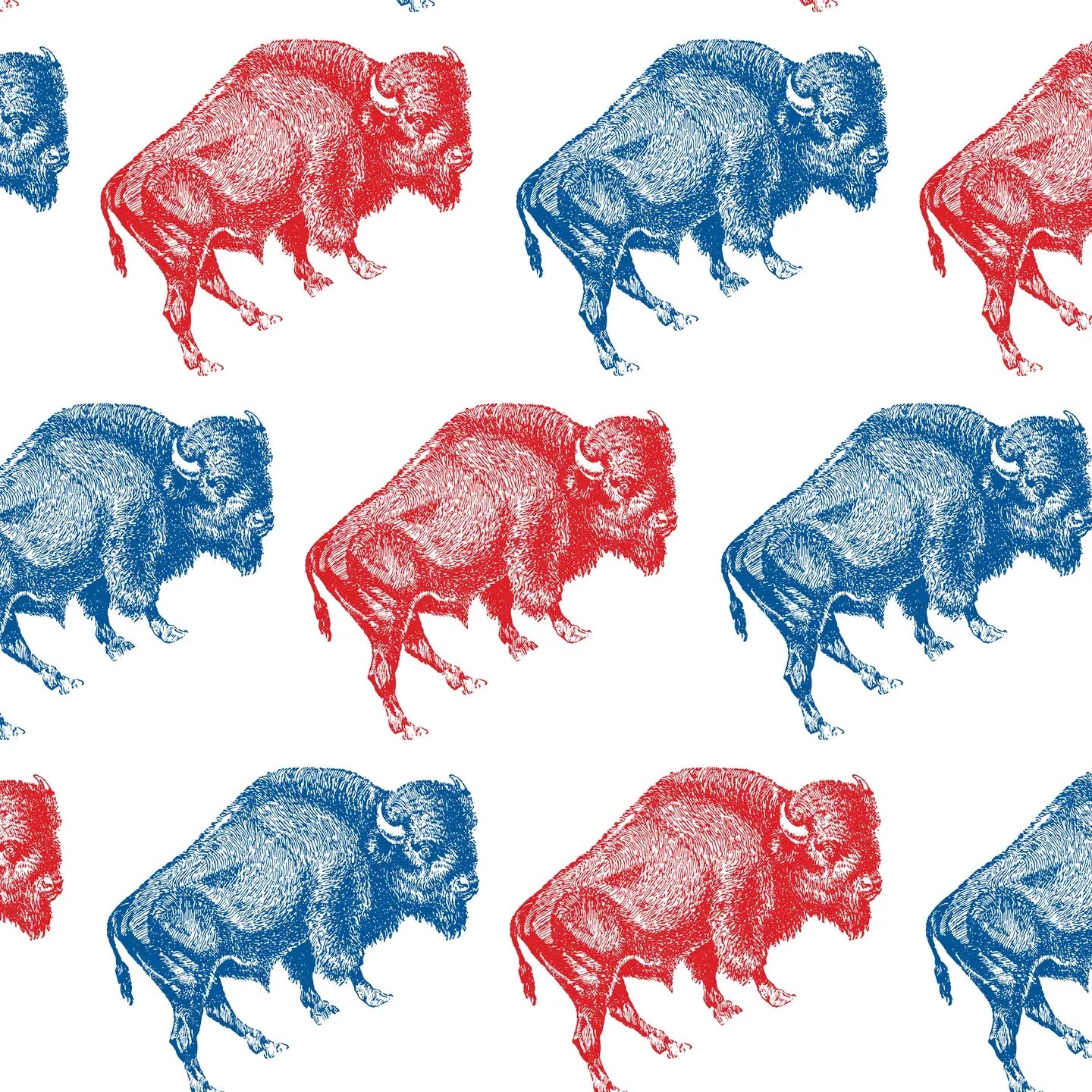 Wrapping Paper: Buffalo Red Blue