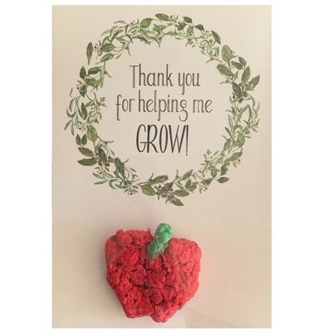 Seed Bombs (Teacher Thank You)